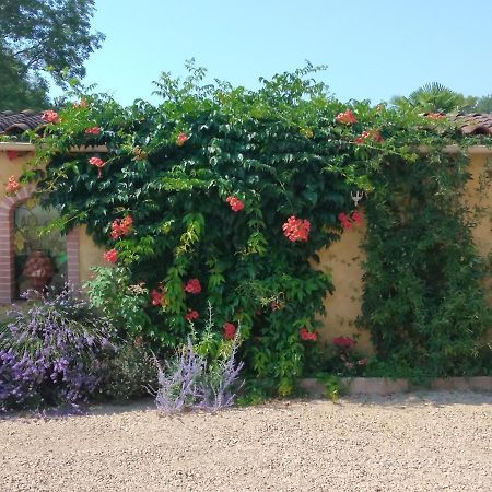 Albi A Proximite, Maison D'Hotes Les Oliviers Rosieres  ภายนอก รูปภาพ