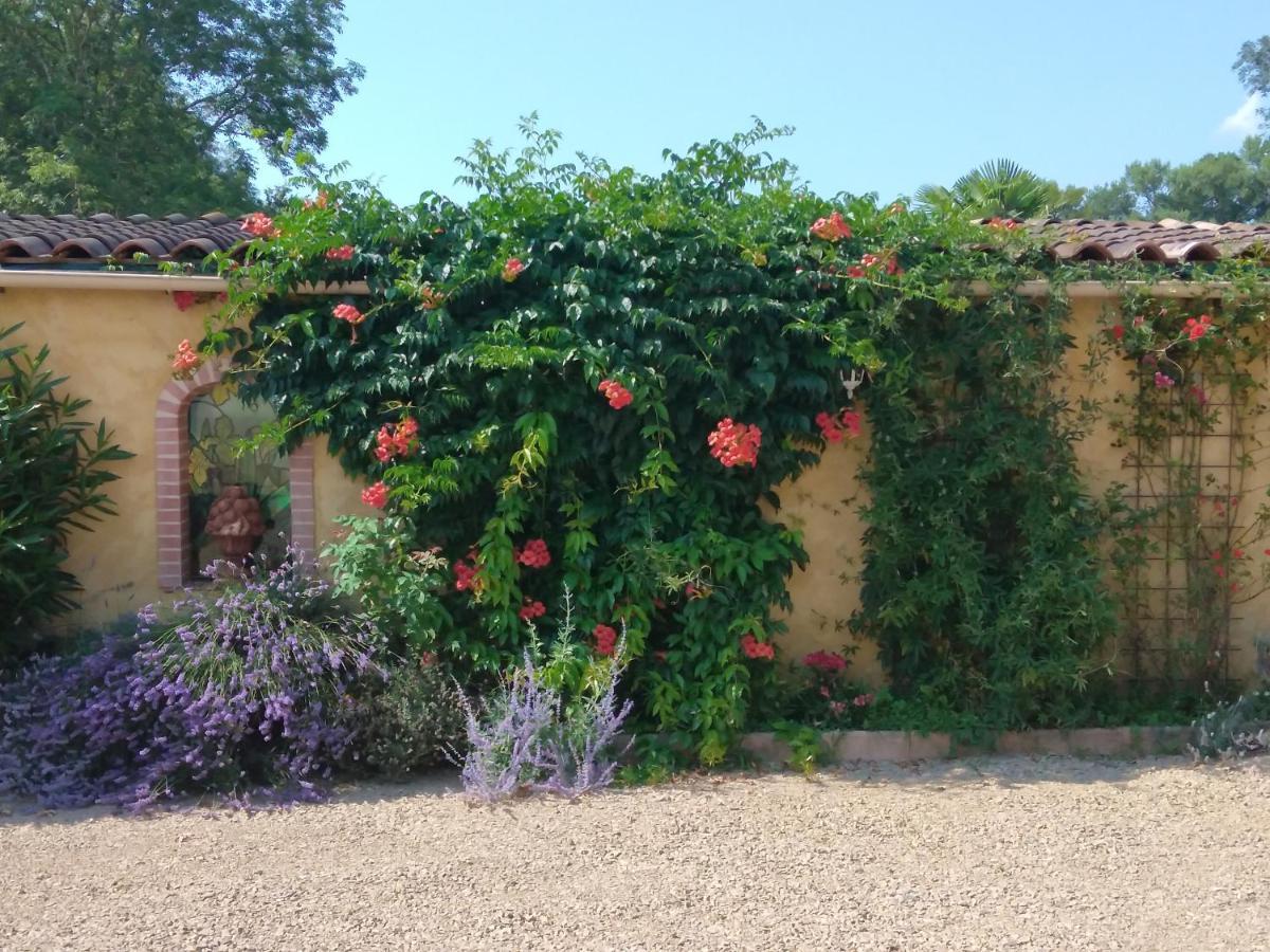 Albi A Proximite, Maison D'Hotes Les Oliviers Rosieres  ภายนอก รูปภาพ