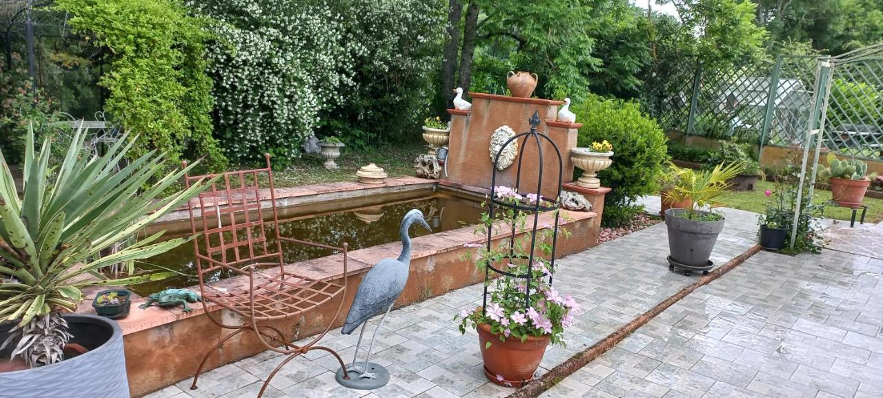 Albi A Proximite, Maison D'Hotes Les Oliviers Rosieres  ภายนอก รูปภาพ